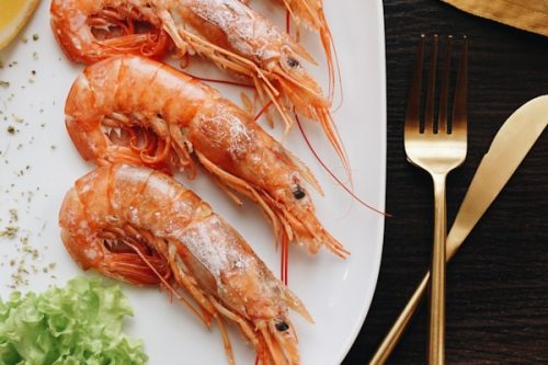 カナダ産ロブスターの旬と楽しみ方